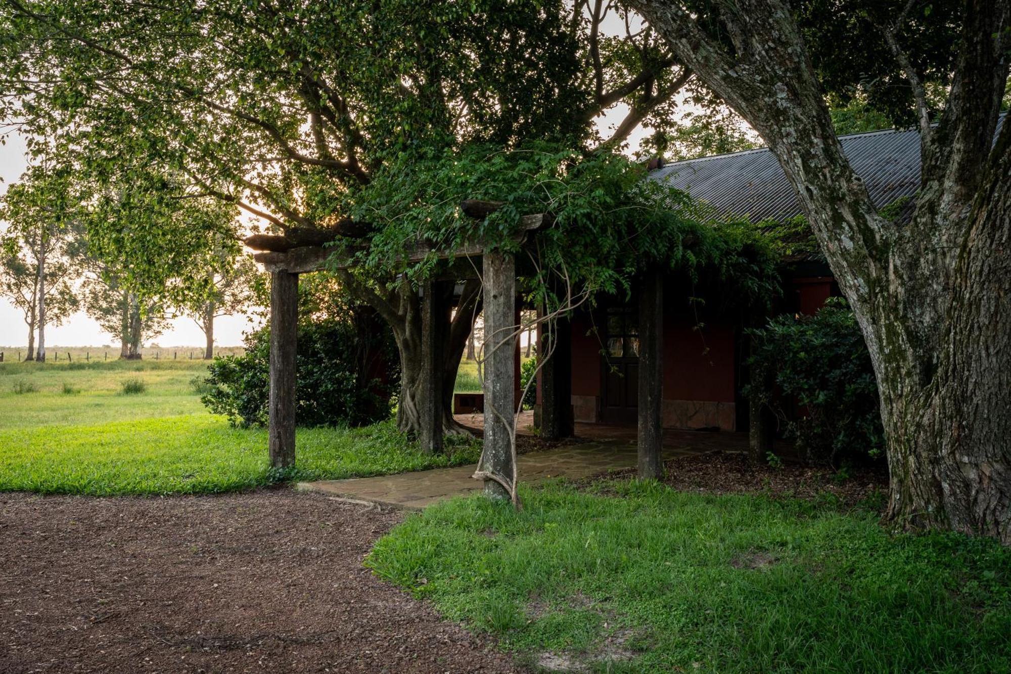 קולוניה קרלוס פלגריני Estancia Ibera מראה חיצוני תמונה